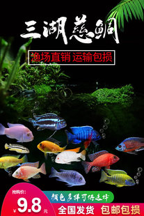 �����������w �R�����җ���ˮ�~�Ꭷ�~���wС�͵�ˮ�^�p�~�R��