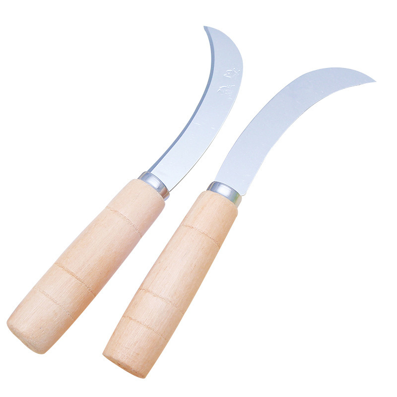 9622382076_243598308