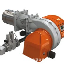 ���������baltur�ٵ�һ�wʽ�͵�ȼ���C偠tȼ����TBG260P