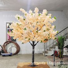 Qѻ҃bͻһcƵ̈S