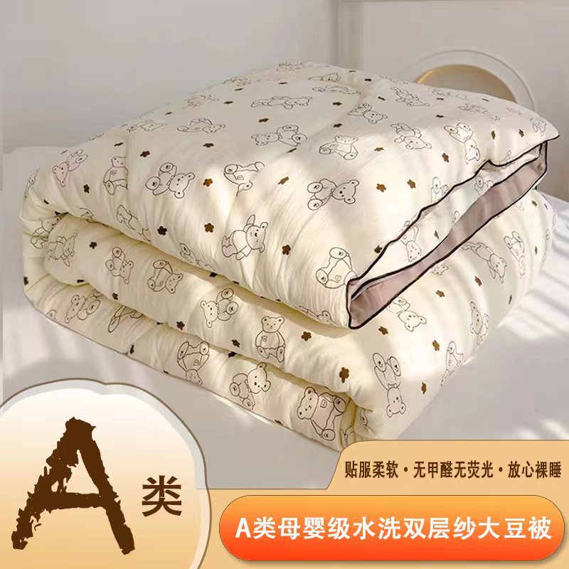 2024 New Model A-Type Double-layer Soybean Fabric Printed Spring and Autumn Four-Season Blanket with Thick Warm Winter Blanket Core Wholesale