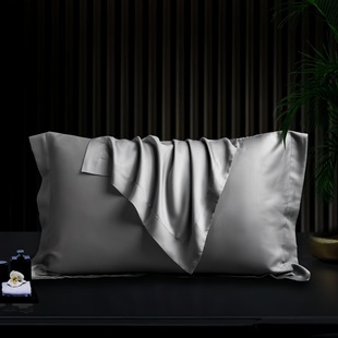 Class A 100 Tencel Silk Pillowcase Ice Silk Cool Pillowcase Solid Color Cross-border Amazon Mulberry Silk Pillowcase