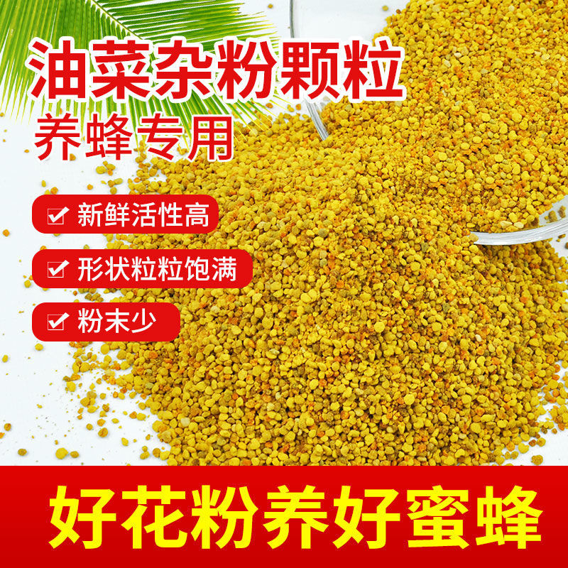 多甜蜜油菜杂粉颗粒养蜂秋繁专用新鲜活性高蜂粮支持外贸