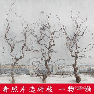 �U���֦�[����������ԭľ���bڒ��ֲ���������֦