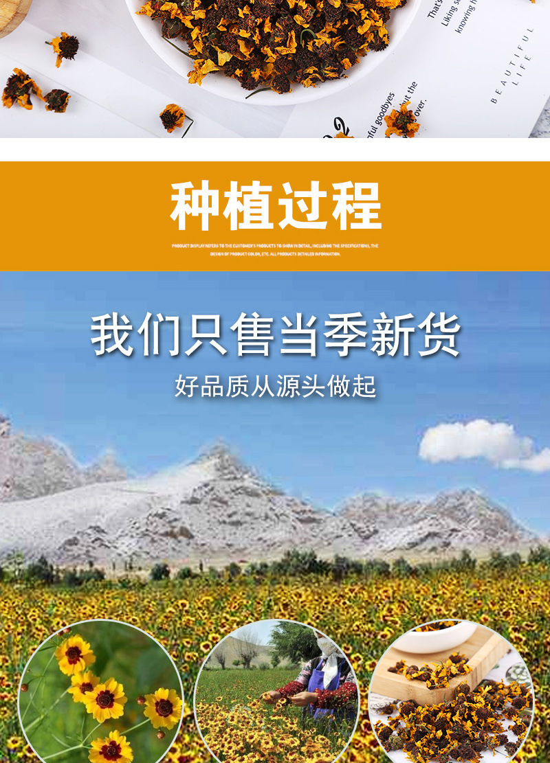 Kunlun Snow Chrysanthemum (Coreopsis tinctoria) — Dried Flower Tea, 500g Loose in use