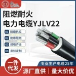 国标铝芯铠装阻燃耐火电力电缆YJLV22/3+1芯 规格齐全 厂家定制