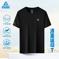 Peak Sport Летние новые короткие рукава быстросохнущие и дышащие поты бег фитнес-блузка свободная футболка с круглым вырезом