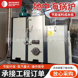 蒸汽发生器;锅炉配附件;燃气锅炉