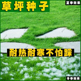 园艺工具;其他园林资材;植保机械