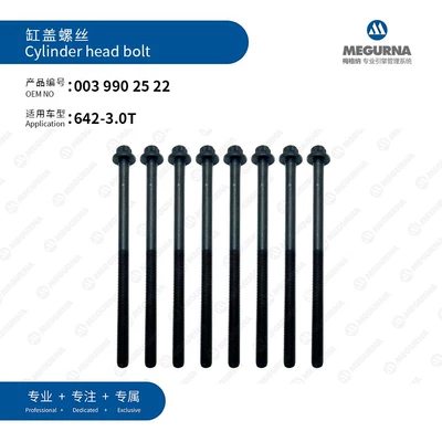 Cylinder and parts for Mercedes-Benz/BENZ/OM642.820