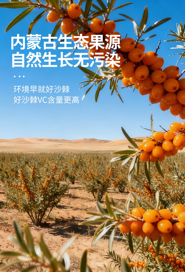 Sea Buckthorn Juice Puree Small Pack Portable 300ml Inner Mongolia Origin specifications