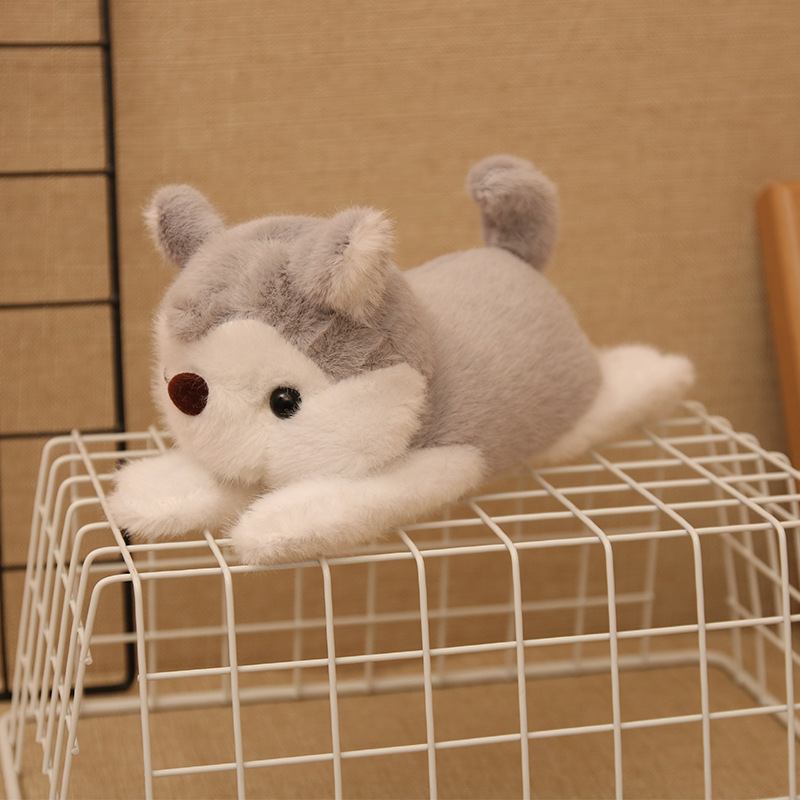 Moto, círculo, zorro, mapache, muñeco husky, pulsera, muñeco, peluche, muñeco, muñeco, muñeca, círculo