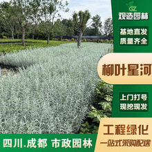 ~ǺСĴ@־G@ͥԺRy~黨^~ֲر