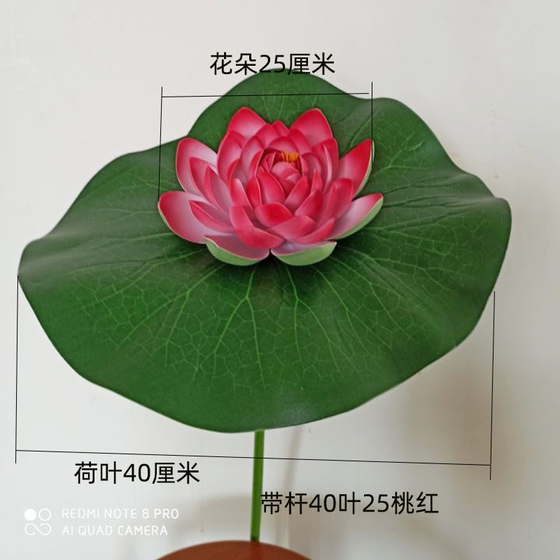 줄기잎 지름 40cm 꽃 복숭아 25cm