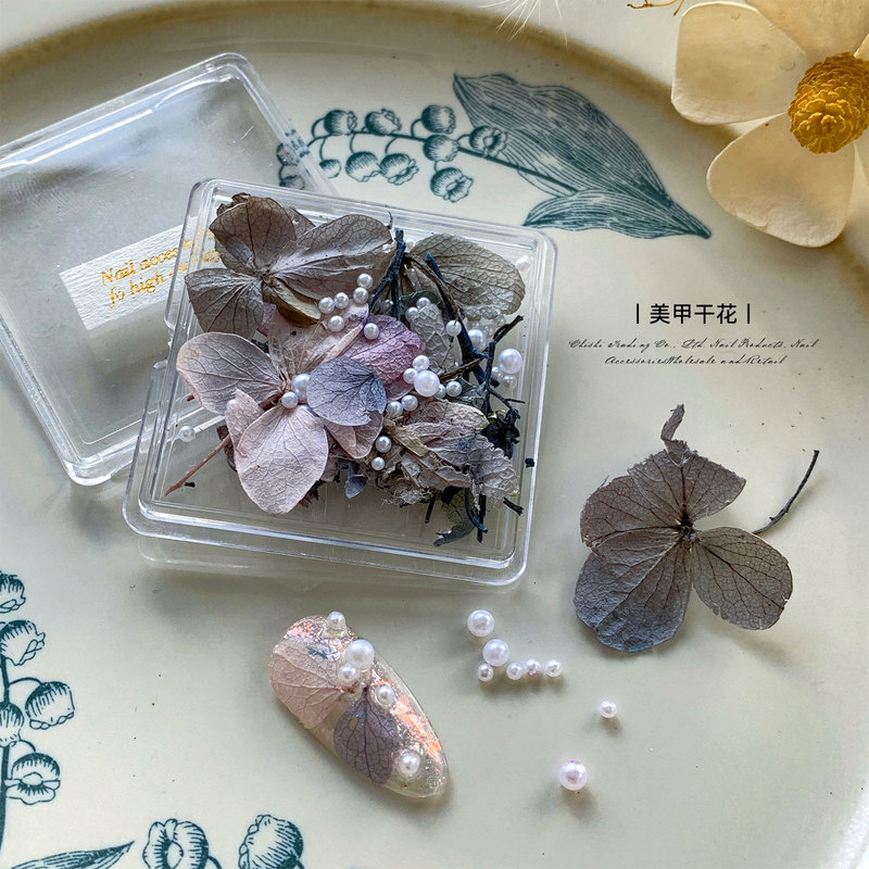 Internet Red Pearl Dried Flower Nail Art Jewelry Japanese ins Style Oil Painting Color Matching Natural Leaf Vein Nail Accessories Wholesale