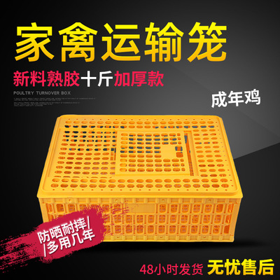 塑料鸡笼10斤大号家禽周转箱长方形鸡鸭运输笼鸡框鸽子用品蛋鸡笼|ms