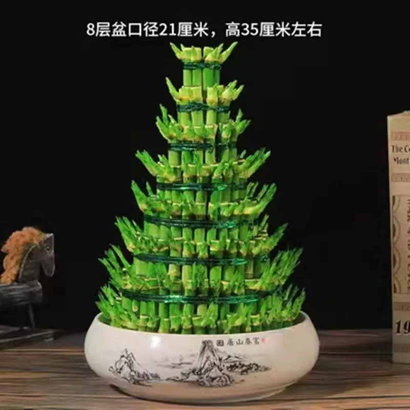 节节高富贵竹水养四季水培竹简单易养活招财转运竹塔水养宝塔8层