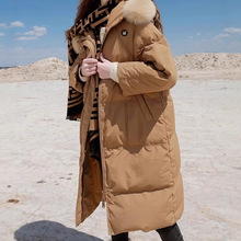 �����q2024�����¿��������Bñ����ë�I��q������ŮD384Z2132Y00