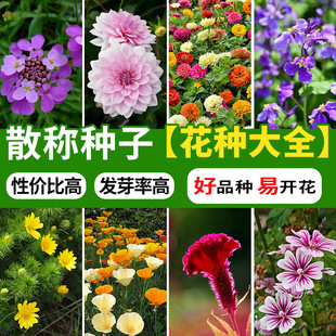 ɢ�Q���ܷN�����l�M����̫ꖻ���˹�հ��ղ����տ����߲ݱ�����ɏ