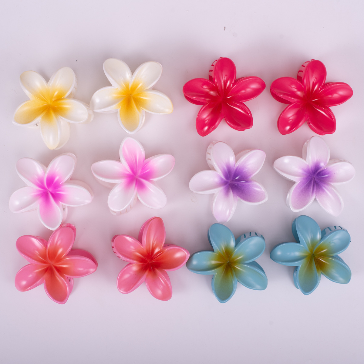 1 바우히니아 스프레이 페인트