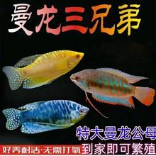 �Ꭷ�^�p�~�����~��������~�����R�׺��B�ͻ�С���~���ô���