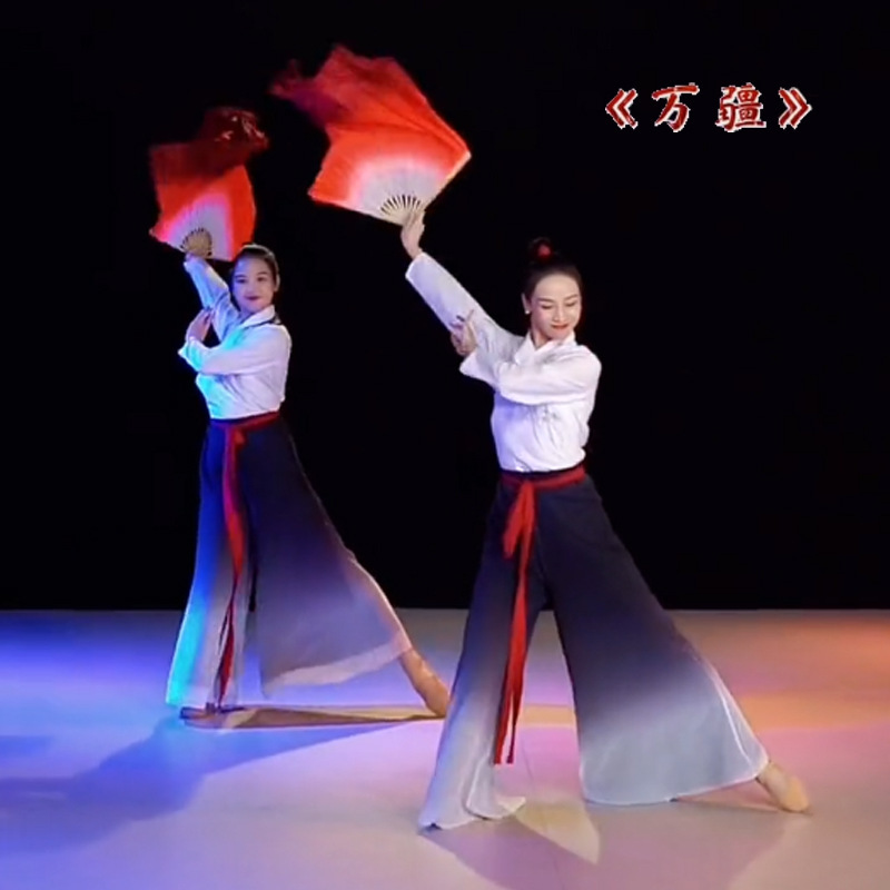 Xia Hui's Wanjiang Dance Costume Original Square Dance Classical Hanfu Practice Suit Performance Modern Stage Costume