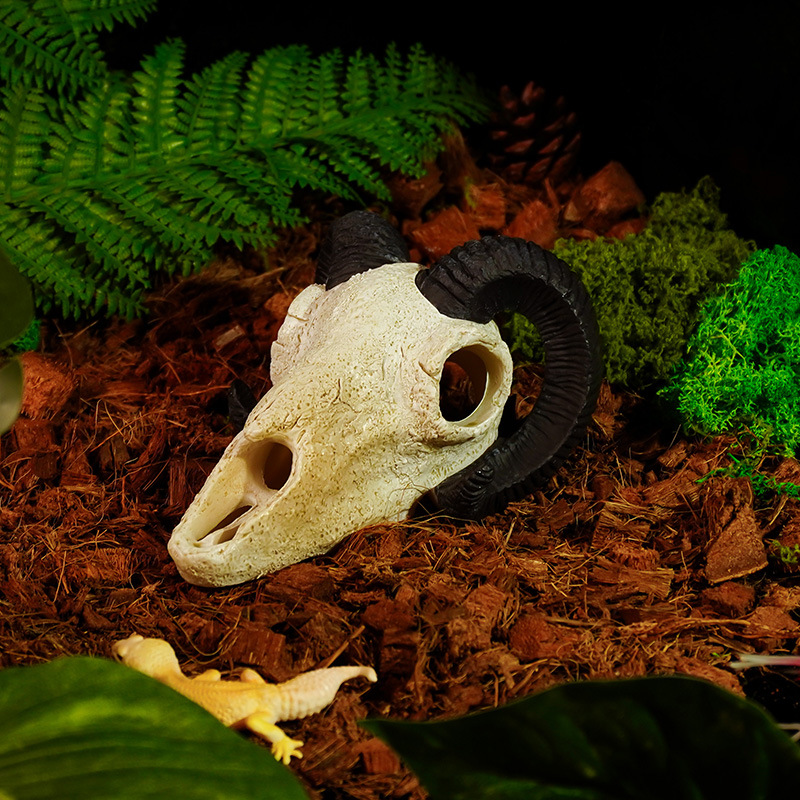 Lagarto, serpiente, cráneo, mascota trepadora, casa de refugio, resina, reptil, paisajismo animal, calavera, pecera, acuario, paisajismo al por mayor