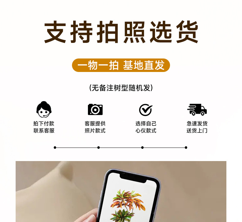 详情图