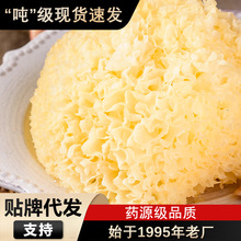 �cԪ�خaŴ�y���o����y�����zŴ����500g���b�y����؛ѩ�����l