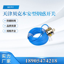 ���ؐ��KGV1�����͟����_�P ���������