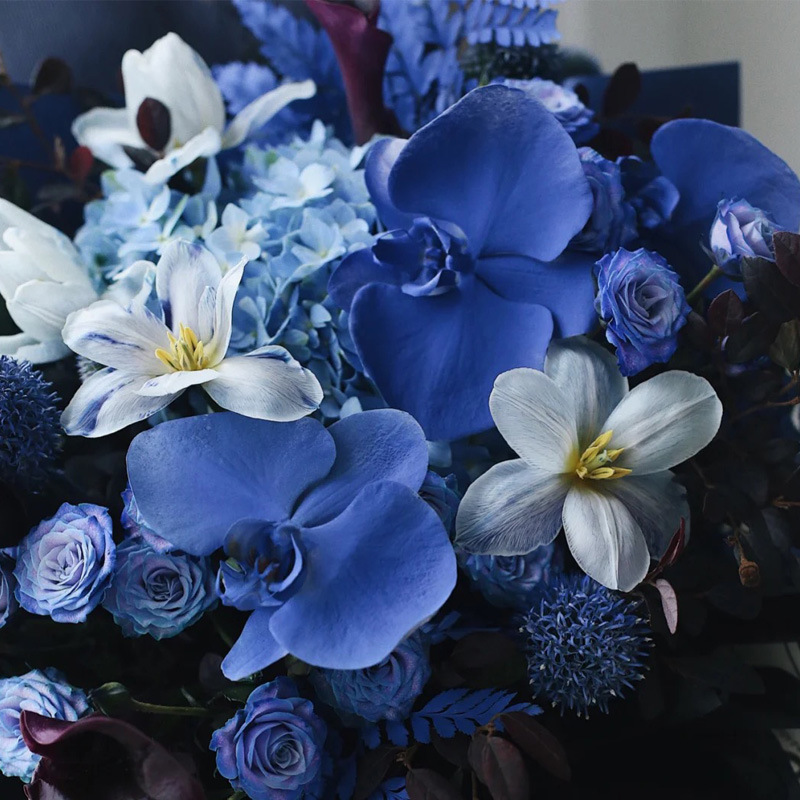 Internet celebridad ciruela negro rosa púrpura flores autopintadas agente de pulverización de color tinte floral spray colorante