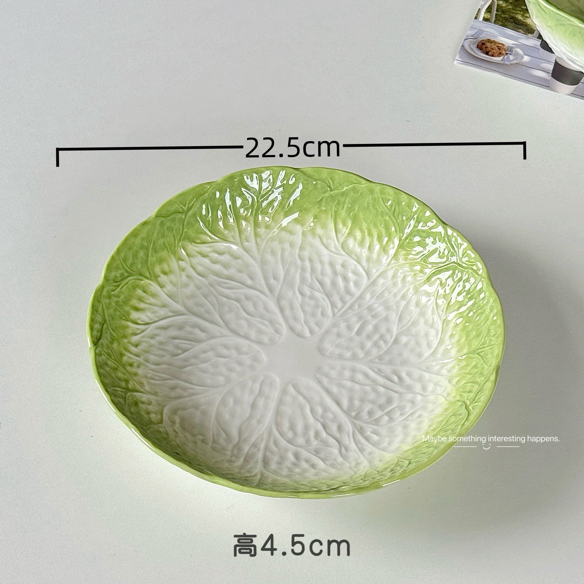 양배추 - 9inch 디스크