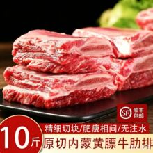 新鲜牛排骨原切牛肋排生牛肉牛肋条带肉牛仔骨商用牛骨头新鲜带肉