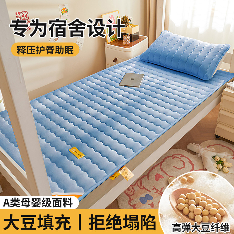 Colchón de soja, cojín, dormitorio de estudiantes en casa, cojín individual, cojín, piso especial para alquiler, cojín para dormir, fondo de cama