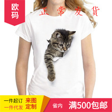 2022新款可愛貓咪印花短袖女士圓領T恤短袖一件代發