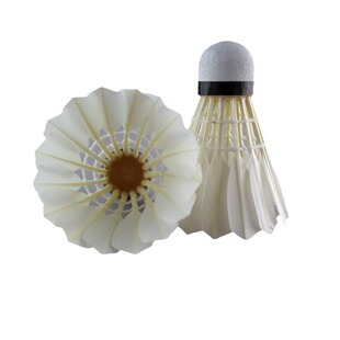 �o����15̖��ë��S�����l�ʹ��m���҃���Ӗ����