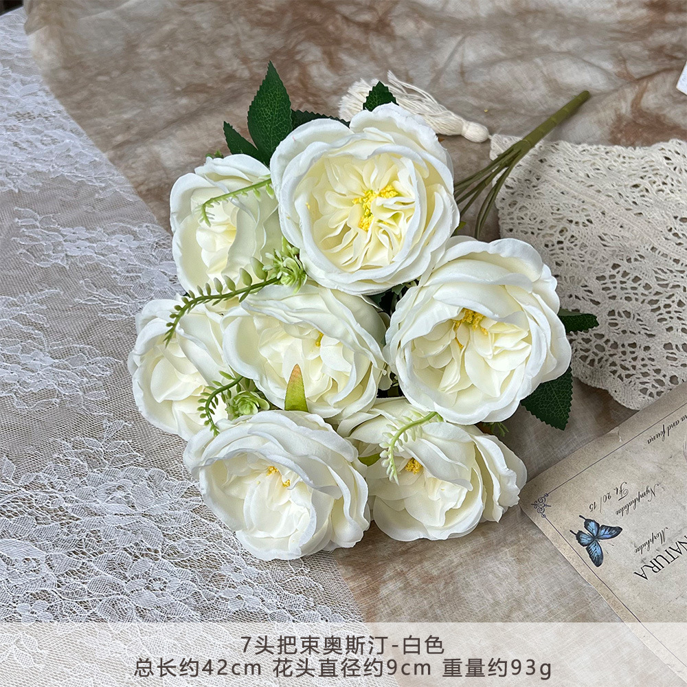 XQ-7 헤드 번들 오스틴-화이트