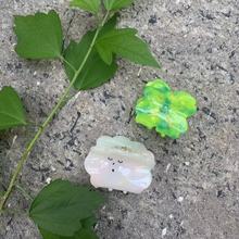 �n���nʽ���~�����\�޻�������녶���������^ɐ�mini�Rβ