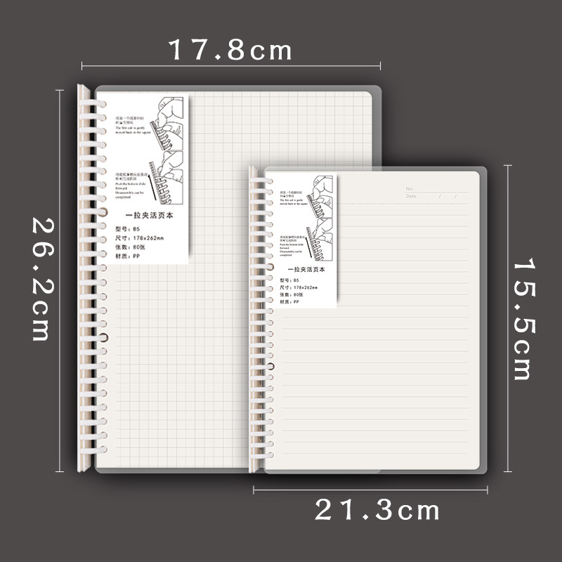 PP pull-out expandable detachable 26-hole 20-hole grid memo pad A5 B5 spiral notebook pad