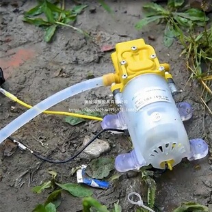 ΢ˮ늄ӸĤСͳˮ 12v߉FС