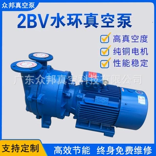 2BV水环式真空泵工业水循环压缩机真空设备铸铁水环真空泵