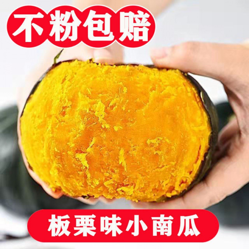 Pumpkin Chinese chestnut wholesale 10 Babe Chinese chestnut Pumpkin Sweet glutinous rice Great Pumpkin factory On behalf of