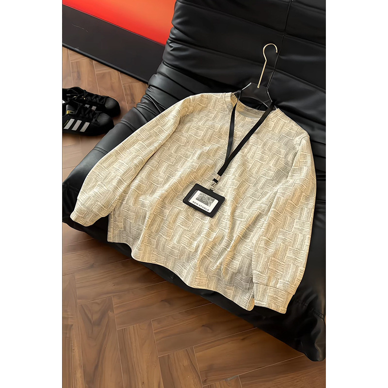 Textured Plaid Heavyweight Sweatshirt For Men, Spring Trendy Brand, Stylish And Sophisticated Long-sleeve T-shirt,_voghion.com