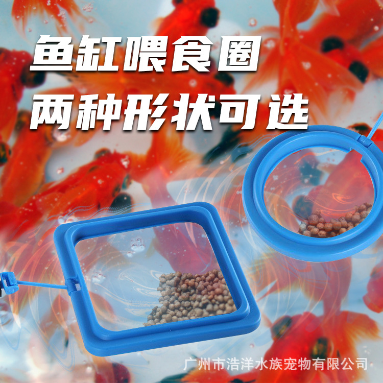 喂食圈鱼食投喂圈投食圈水族箱漂饲料浮喂食圈带吸盘