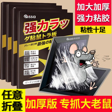 进口胶水老鼠粘强力粘板胶粘蝇纸贴超强家用一窝端黏鼠粘蝇纸板