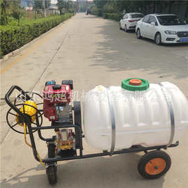 养殖场猪舍消毒打药机 150L手推式电动喷雾器农用杀虫喷药机