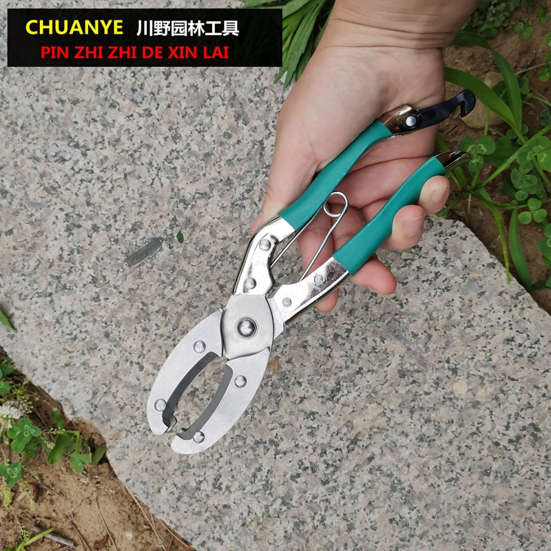 供应环剥剪 环剥刀 环剥树木 环割工具 环剥工具