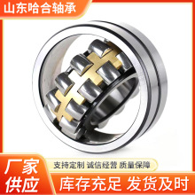 {ĝLS22230 22232 22234 22236 22238 22240 22244CA/W33