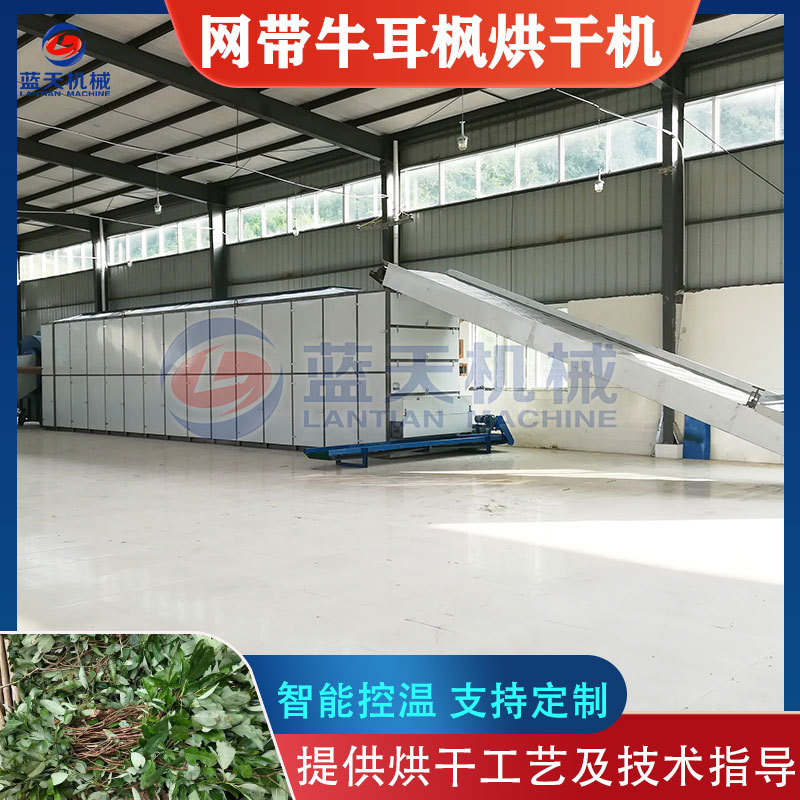 牛耳枫烘干机 网带式牛耳铃假楠木叶干燥机 大型牛耳枫根烘干设备
