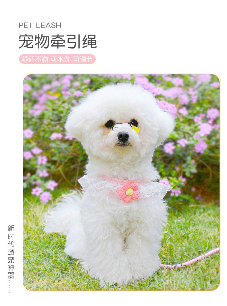 狗详情1_01.jpg